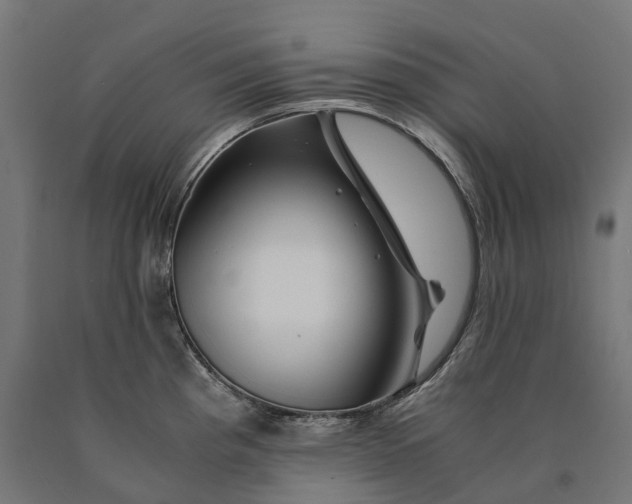 X0000090761193200708031623