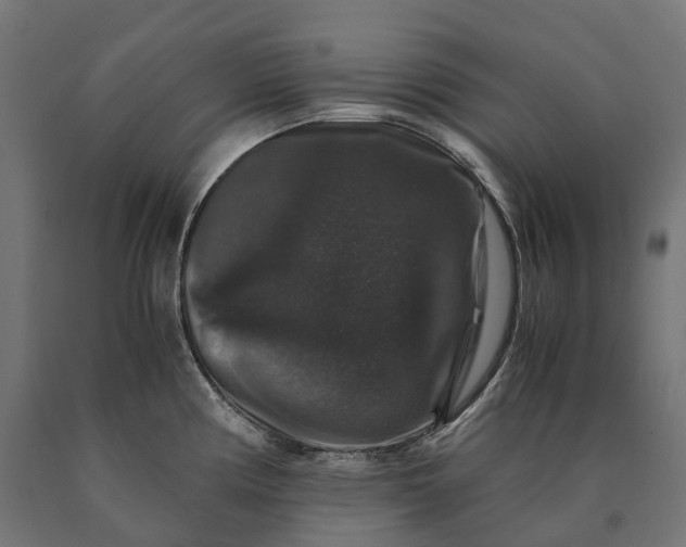 X0000090761194200708031623