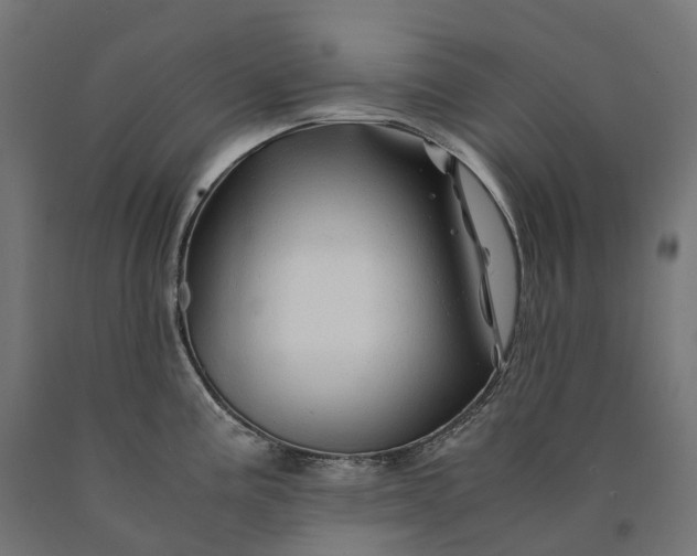 X0000090761195200708031623