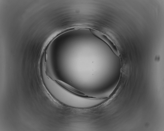 X0000090761196200708031623