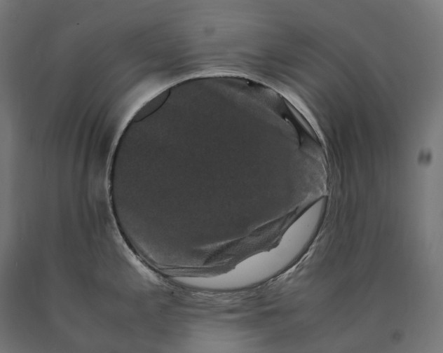 X0000090761197200708031623