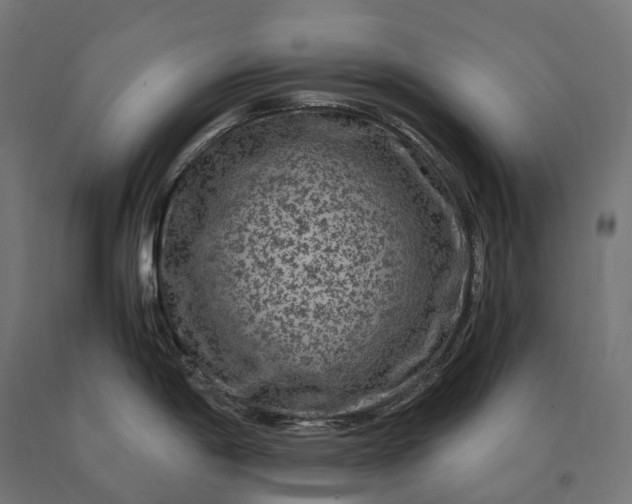 X0000090761198200708031623