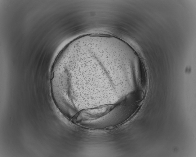 X0000090761200200708031623