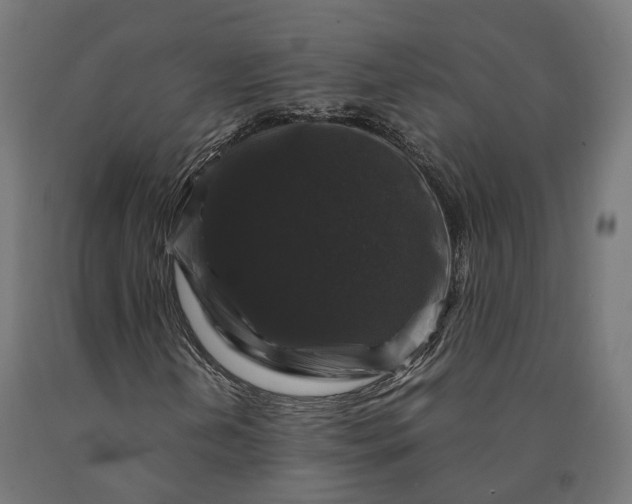 X0000090761202200708031622