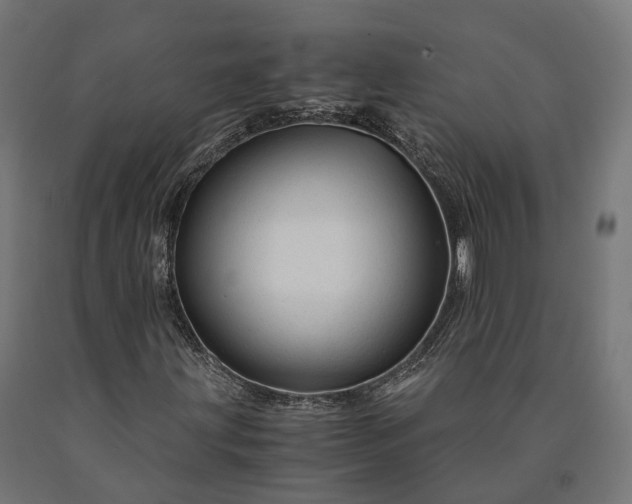 X0000090761203200708031622