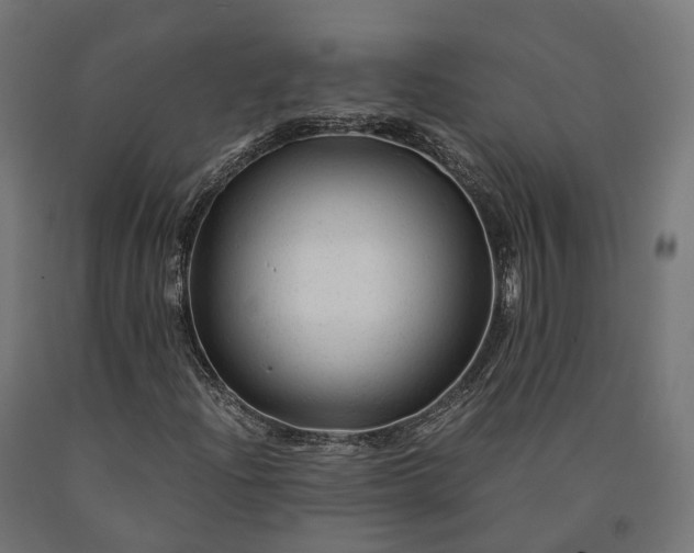 X0000090761204200708031622