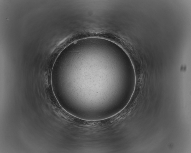 X0000090761205200708031622