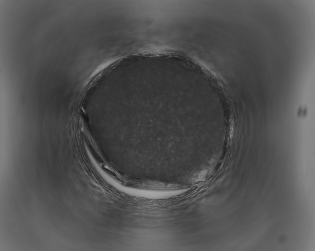 X0000090761206200708031623