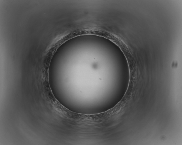 X0000090761207200708031623