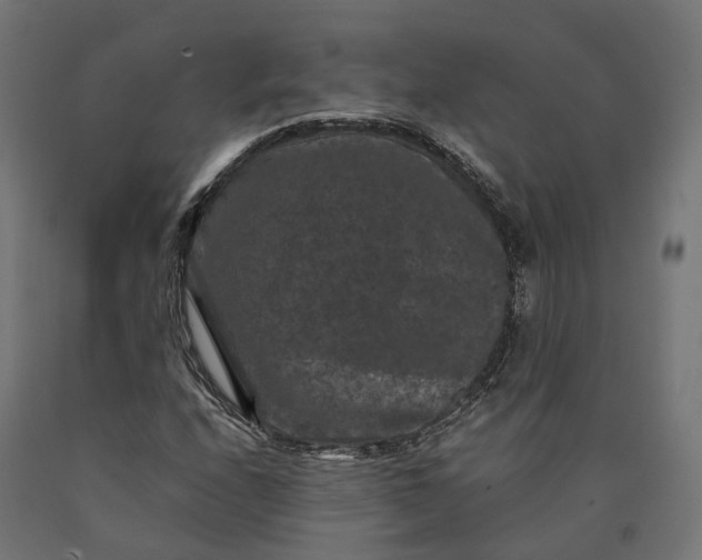 X0000090761208200708031623