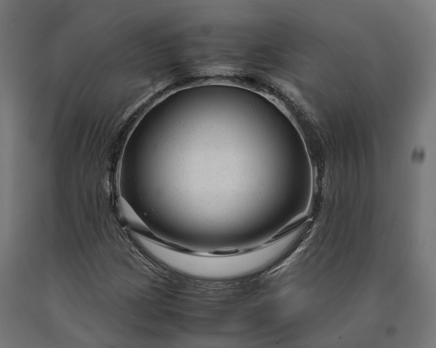 X0000090761209200708031623