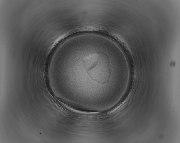 X0000090761210200708031623