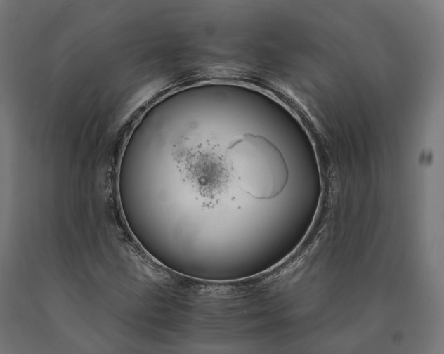 X0000090761211200708031623