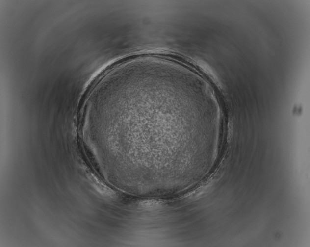 X0000090761212200708031623