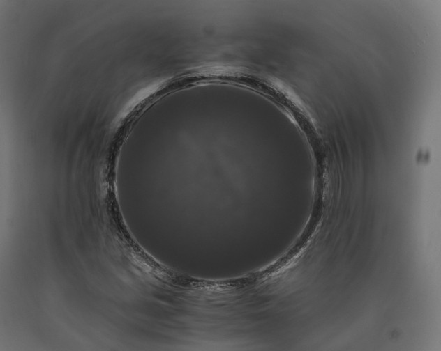 X0000090761213200708031623