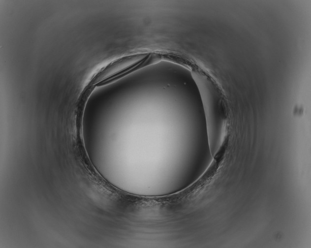 X0000090761214200708031623