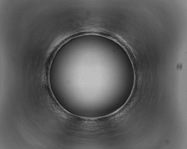 X0000090761215200708031623