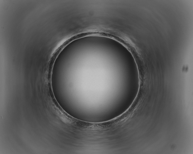 X0000090761216200708031623