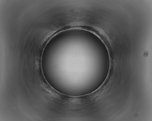 X0000090761217200708031623