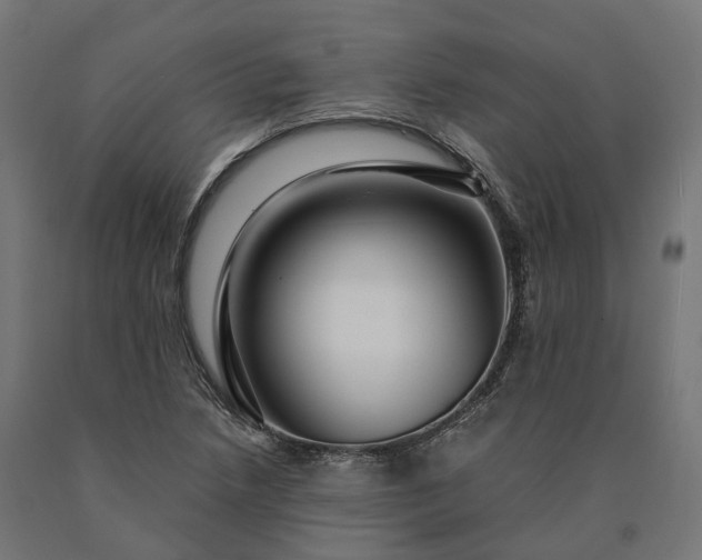 X0000090761218200708031623