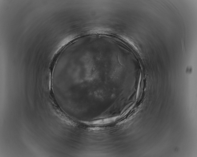 X0000090761219200708031623