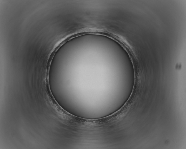 X0000090761220200708031623