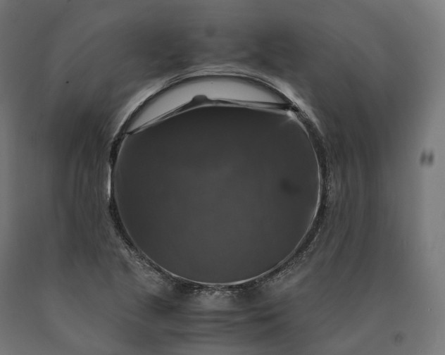 X0000090761221200708031623