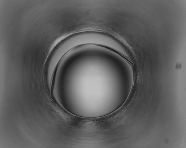 X0000090761222200708031623