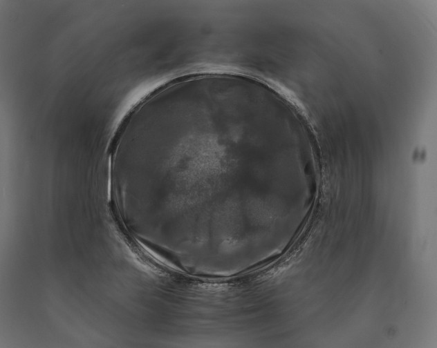 X0000090761223200708031623