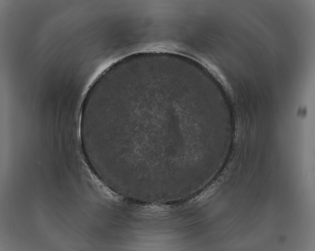 X0000090761224200708031623