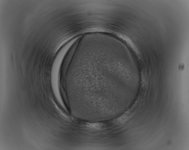 X0000090761225200708031623