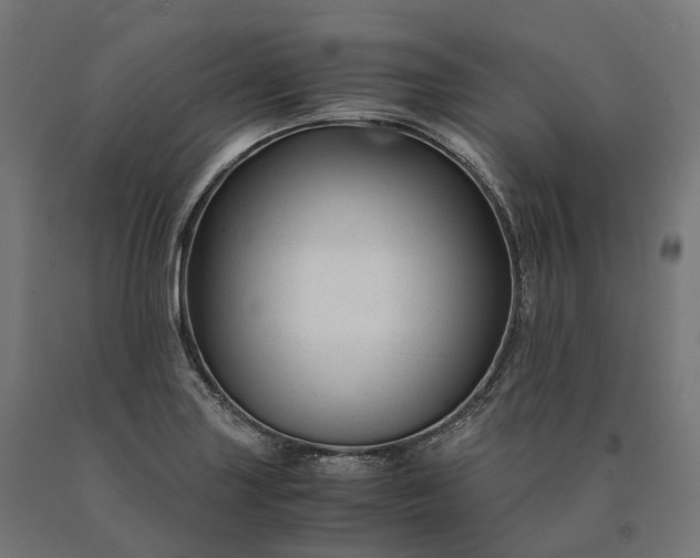 X0000090761227200708031623