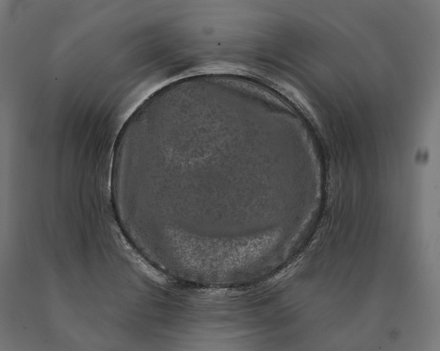 X0000090761228200708031623