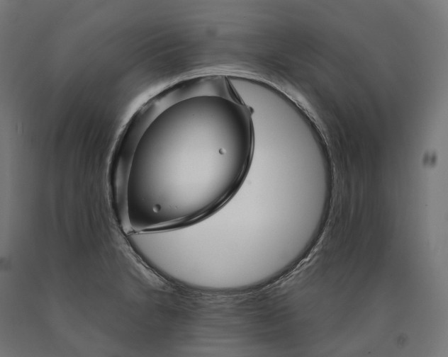 X0000090761230200708031623