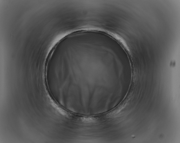 X0000090761231200708031623