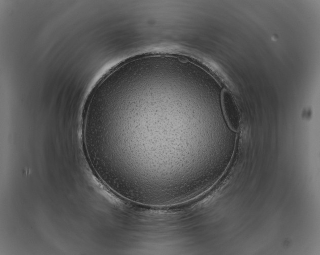 X0000090761232200708031623