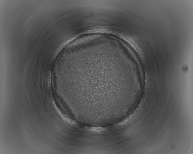 X0000090761233200708031623