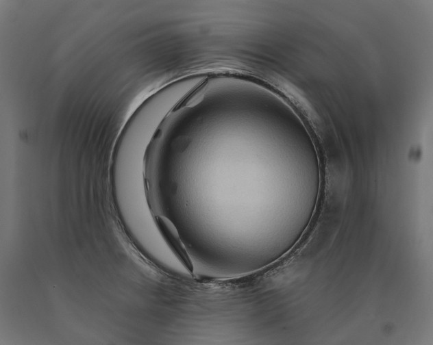 X0000090761234200708031623