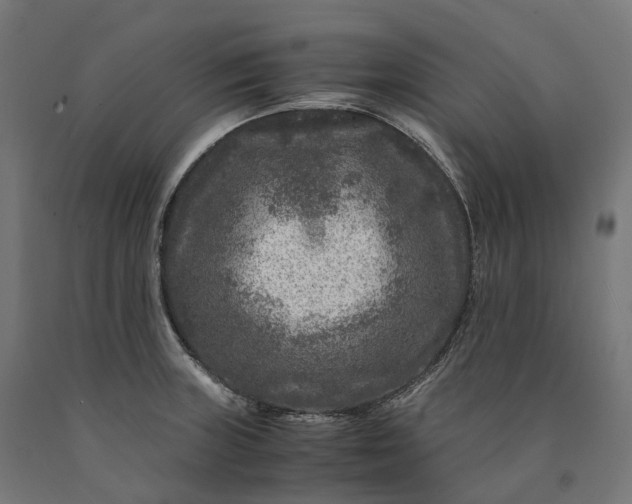 X0000090761235200708031623