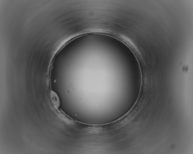 X0000090761236200708031623