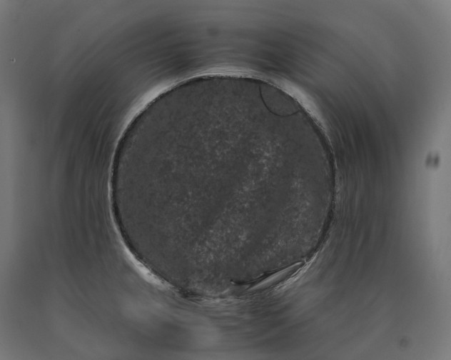 X0000090761237200708031623