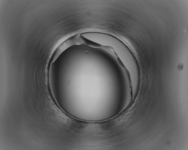 X0000090761238200708031623