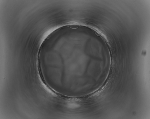 X0000090761239200708031623