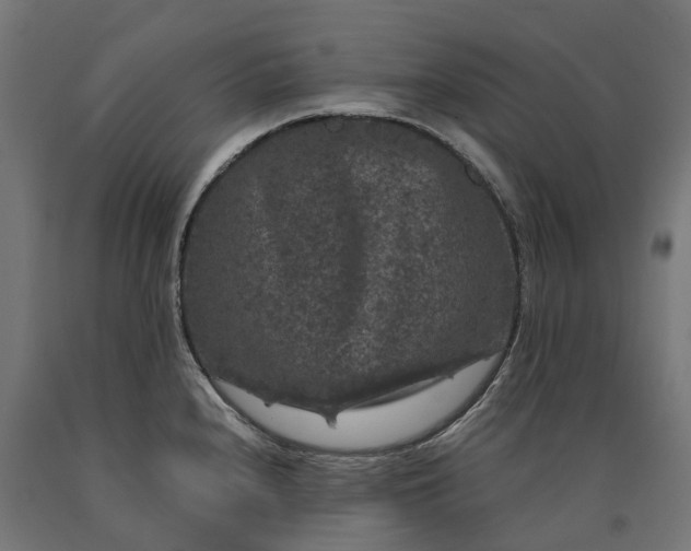 X0000090761240200708031623