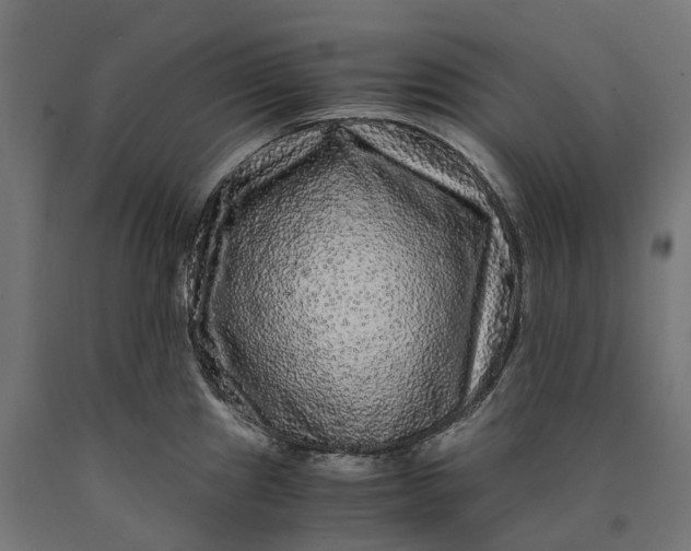 X0000090761241200708031623