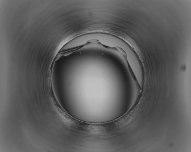 X0000090761242200708031623