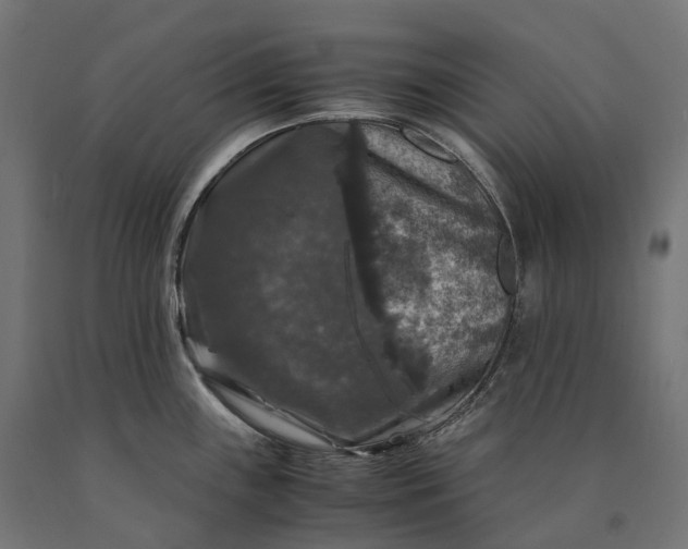 X0000090761243200708031623