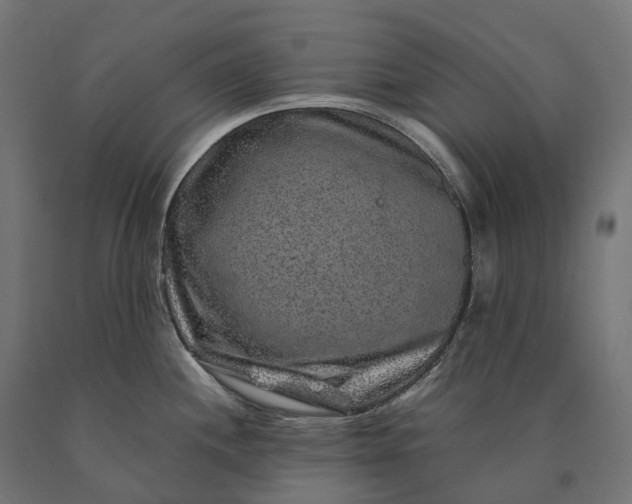 X0000090761244200708031623