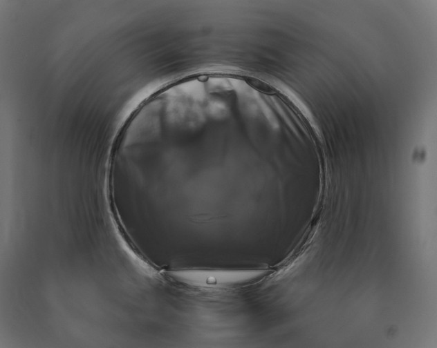 X0000090761245200708031623