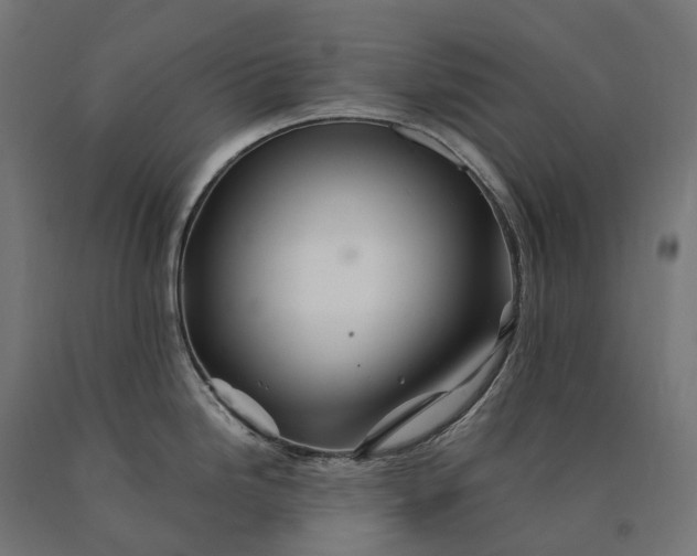 X0000090761246200708031623